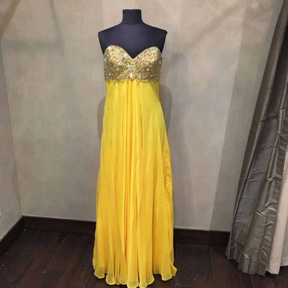 Terani Size 12 Gown
